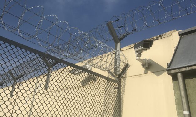 Natural wire - Razor Wire S-wire: High security wire for maximum security